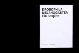 Patricia Klein 🞡 Art Director & Designer