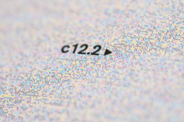 Patricia Klein π‘ Art Director & Designer