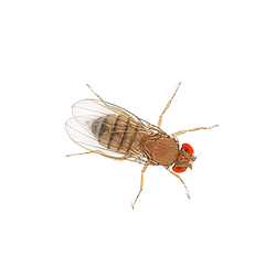 Patricia Klein 🞡 Art Director & Designer