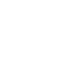 Patricia Klein 🞡 Art Director & Designer