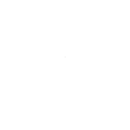 Patricia Klein 🞡 Art Director & Designer