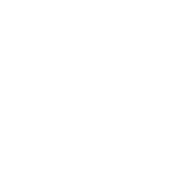 Patricia Klein 🞡 Art Director & Designer