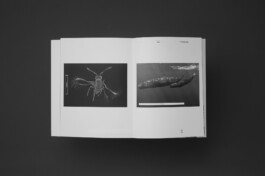 Patricia Klein π‘ Art Director & Designer