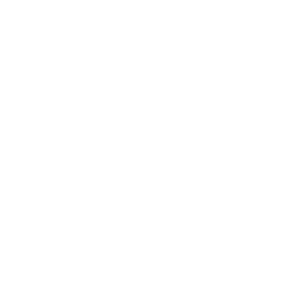 Patricia Klein 🞡 Art Director & Designer