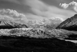 Patricia Klein π‘ Art Director & Designer