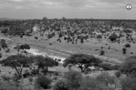 Patricia Klein π‘ Art Director & Designer