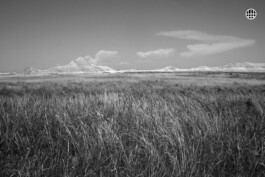 Patricia Klein π‘ Art Director & Designer