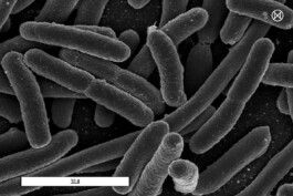 Patricia Klein π‘ Art Director & Designer