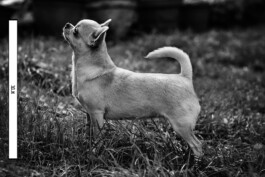 Patricia Klein π‘ Art Director & Designer