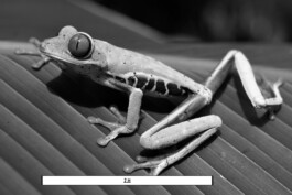 Patricia Klein π‘ Art Director & Designer