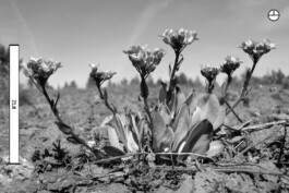 Patricia Klein π‘ Art Director & Designer