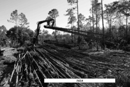 Patricia Klein π‘ Art Director & Designer