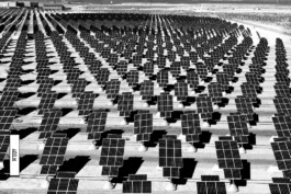 Patricia Klein π‘ Art Director & Designer