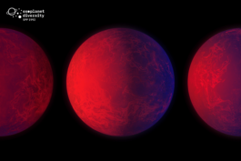 Patricia Klein 🞡 Art Director & Designer